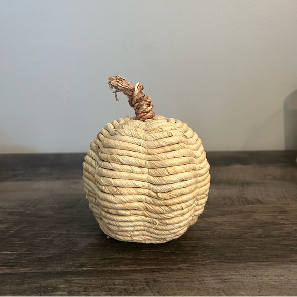 Target Threshold Natural Fall Boho Pumpkin - Picture 1 of 8
